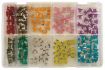 assortiment mini zekeringen low profile 100dlg 1st