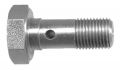 banjo bolt m10x100x323 sw16 1pc
