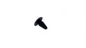 clip mazda oe 992640426 10 pcs