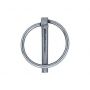 DIN 11023 BORGPEN MET RING VERZINKT 6X40