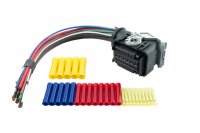 KIT DE RÉPARATION DE FAISCEAU DE CÂBLES PORTE AVANT GAUCHE ET DROITE FIAT (1PC)