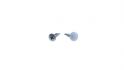 no plate screw belgium cars 4xscrew 4xcap white 1pc