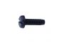 NO. PLATE SCREW POLYAMIDE BLACK M6X20 (20PCS)