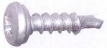 number plate screw 50x19 boorpunt 5pcs