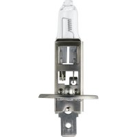 PHILIPS 24V H1 MASTERDUTY P14,5S (1ST) PHILIPS 24V H1 MASTERDUTY P14,5S (1ST)