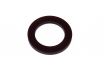 sealing ring polyamide 145x22x20 1pc