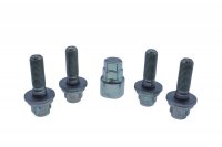 SLOTBOUT SET 4 STUKS M12X1,25-34 + DOP17 PEUGEOT PLAT (1ST) SLOTBOUT SET 4 STUKS M12X1,25-34 + DOP17 PEUGEOT PLAT (1ST)