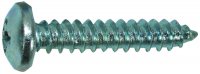 TAPPING SCREW PAN HEAD DIN 7981CH PH ZINC PLATED 4,8X25 (20PCS) TAPPING SCREW PAN HEAD DIN 7981CH PH ZINC PLATED 4,8X25 (20PCS)