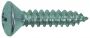 TAPPING SCREW RAISED COUNTERSUNK HEAD DIN 7983CH PH ZINC PLATED 2,9X13 (20PCS)