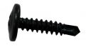 vis de taraudage collet 48x22 noir philipsdrive 1000pc