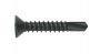 VIS DE TARAUDAGE DIN7504N TÊTE FRAISÉE PHILIPSDRIVE NOIR 4,2X19 (100PC)