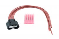 WIRING HARNESS REPAIR KIT EXHAUST GAS RECIRCULATION RENAULT (1PC) WIRING HARNESS REPAIR KIT EXHAUST GAS RECIRCULATION RENAULT (1PC)